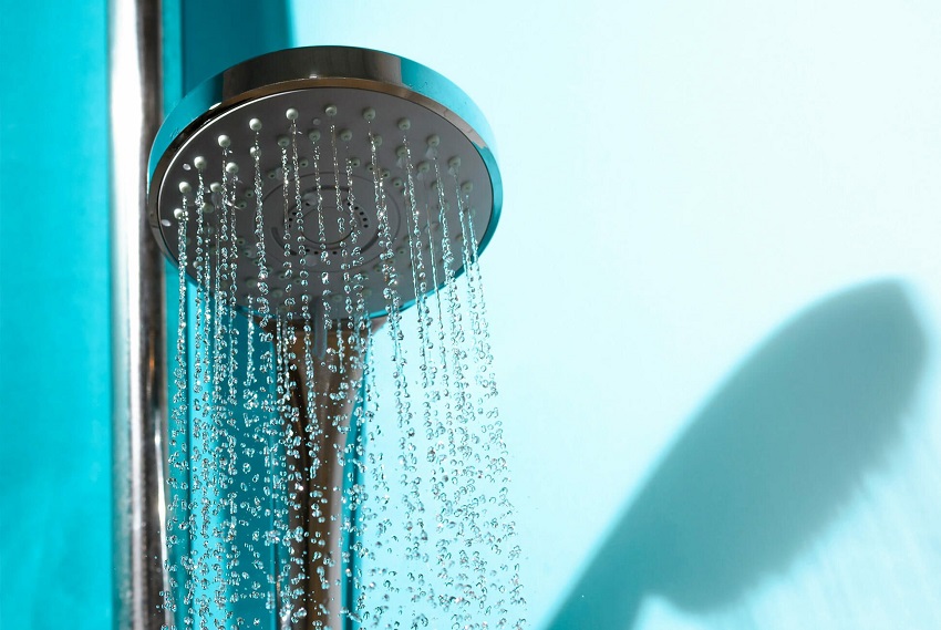 Does Showering Remove Fleas